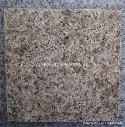  China Brown Granite 4