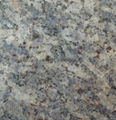 New Santa Cecilia granite