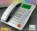 IP Phone(Standard Headset) 1