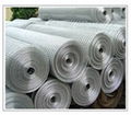 Galvanized Welded Wire Mesh