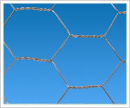 Hexagonal Wire Mesh