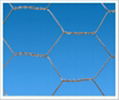 Hexagonal Wire Mesh