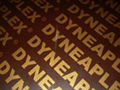 DURAPLEX film faced plywood 3