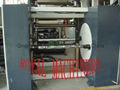 PET sheet line  3