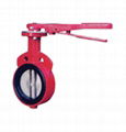 Wafer Type Butterfly Valve 1