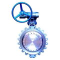 High Performance Butterfly Valve 1