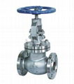 API Globe Valve