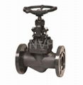 Forged Steel Globe Valve 1