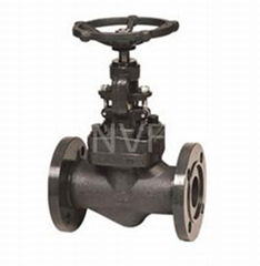 Forged Steel Globe Valve