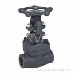 Forging Steel Gate Valve