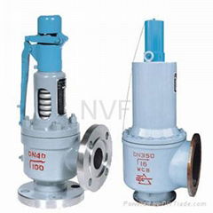 Safety  Relief Valve