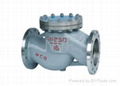 Lift Check Valve