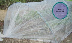 Anti-insect net