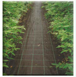 Ground Cover,Weed control mat,Weed barrier