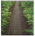 Ground Cover,Weed control mat,Weed