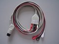 ECG Cable with Leadwires 1