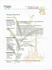 HBXIAN Ginger Root Extract Powder