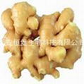 HBXIAN Ginger Root Extract Powder 5