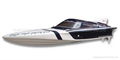 RC Gasoline Power boat Purple Light flying fish II 2