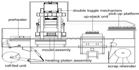 Thermoforming Machine with auto stacker 2