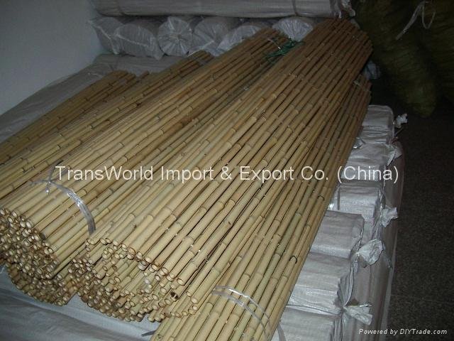 bamboo poles 2