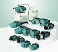 Domastic or Mini Water Pumps