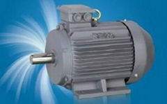 THREE PHASE ASYNCHRONOUS INDUCTION MOTOR