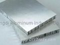Aluminum Honeycomb Panel 5