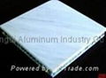 aluminum honeycomb sandwich panel