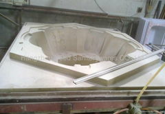 bathtub mould