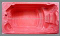 swimming pool mould