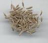 Cumin seeds