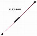 Flexi Bar 1