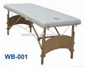 massage table 2-section