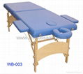 massage table 2-section with headrest and armrest 1