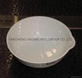 lab porcelain ware (crucible, dish,