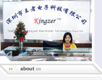 Shenzhen Kingzer Electronic Technology Co.,Ltd.