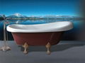 Arstic Bathtub