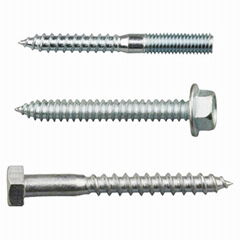 hanger screw, dowel screw, double head screw, wood screw