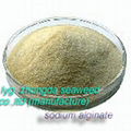 Sodium Alginate - factory super quality,low price for sale 1