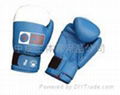 boxing gloves 2