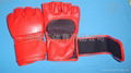 boxing gloves 2