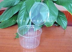 Plastic Food Container/Strawberry Clamshell