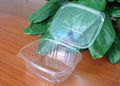 Plastic bakery box/Cake dome 1