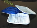 Plastic food container/Party tray 1