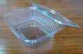 Plastic food box 1