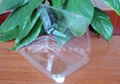 Plastic food container/Fruit clamshell 1