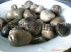 slated straw mushroom