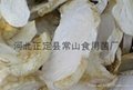 dried reishi mushroom slice