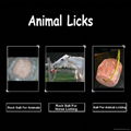 Himalayan Natural Rock Salt Animals Licks